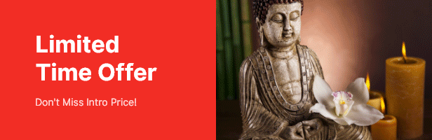 Vihara | Ashram Buddhist Temple WordPress Theme - 1