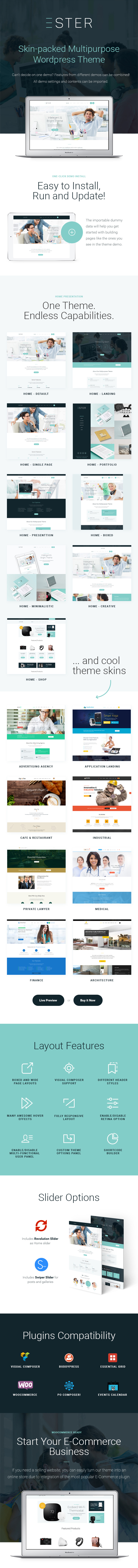 Business WordPress Theme Features