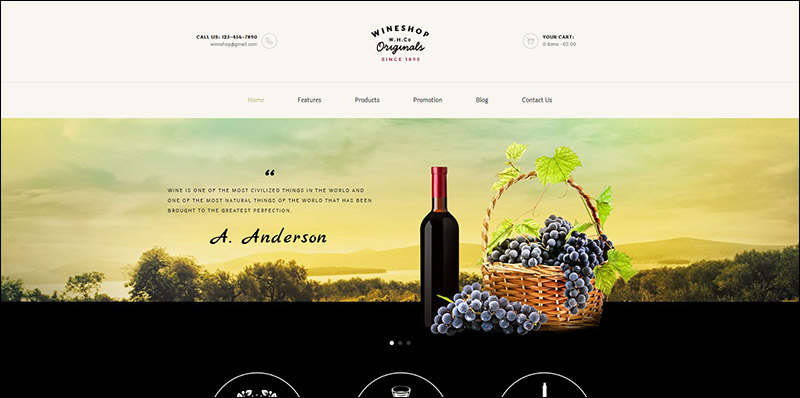 WineShop - Food & Wine Online Store