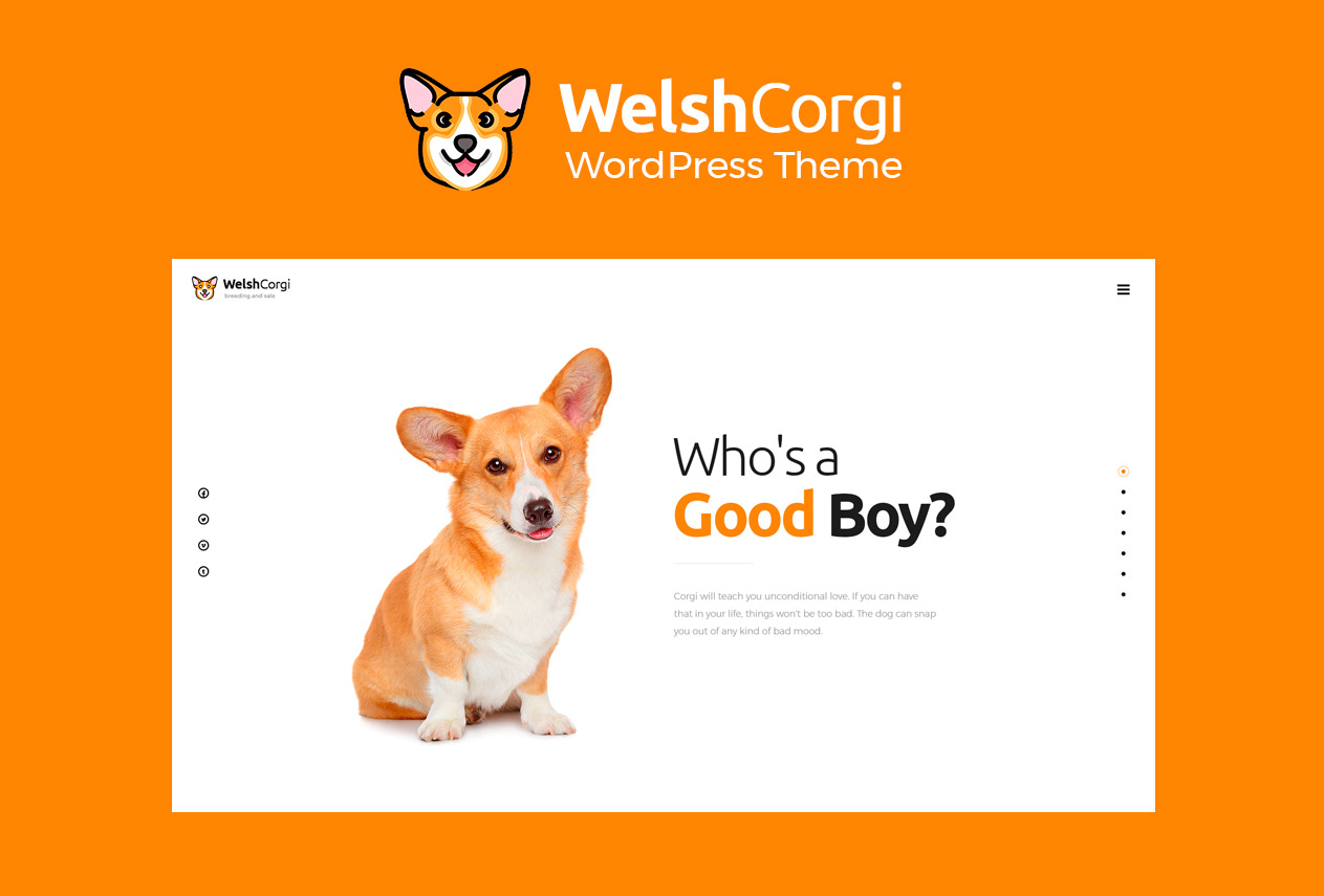 Meet Welsh Corgi: Animal & Pets WordPress Theme with Minimal Design -  ThemeREX