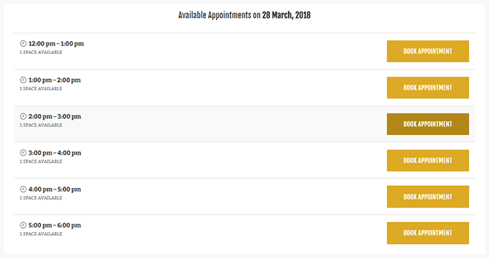 Appointment Booking WP Theme