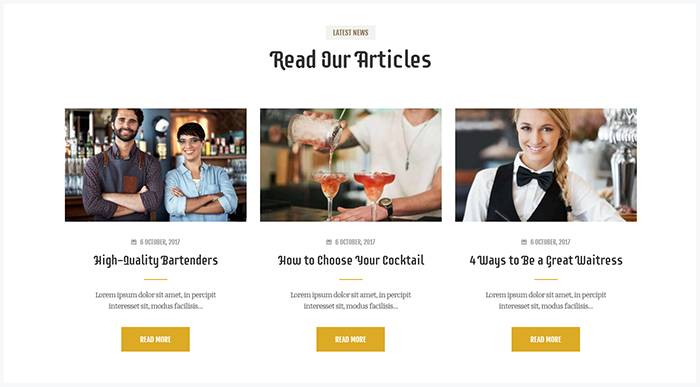 Extended Blog Settings WP Theme