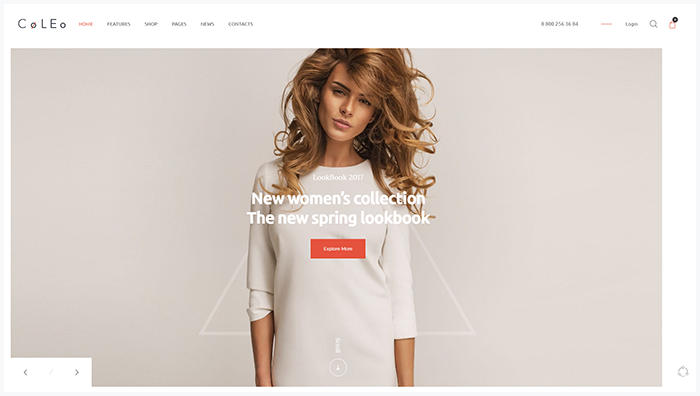 Slider Revolution WP Theme