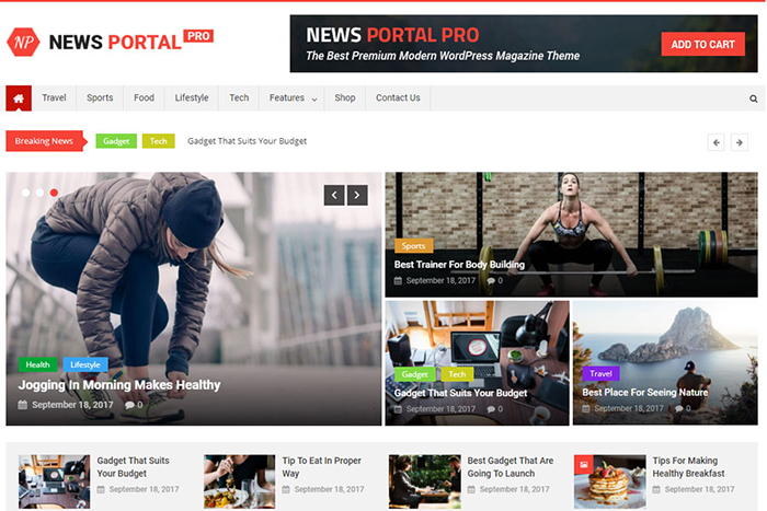 News_Portal_Pro_Theme