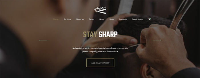 Revolution Slider