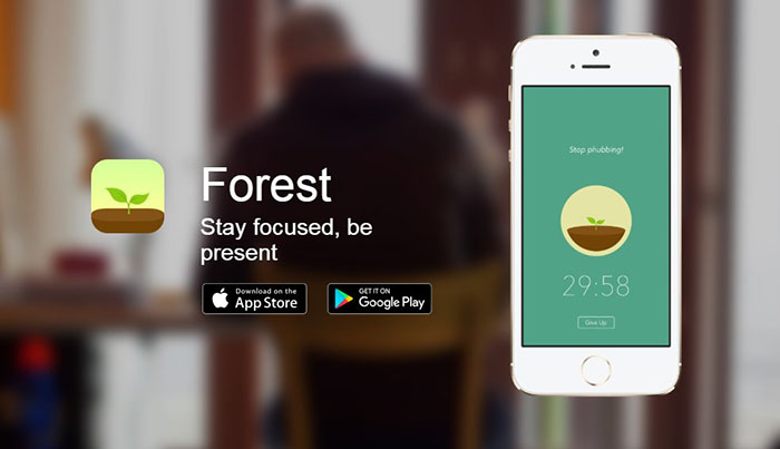 forest