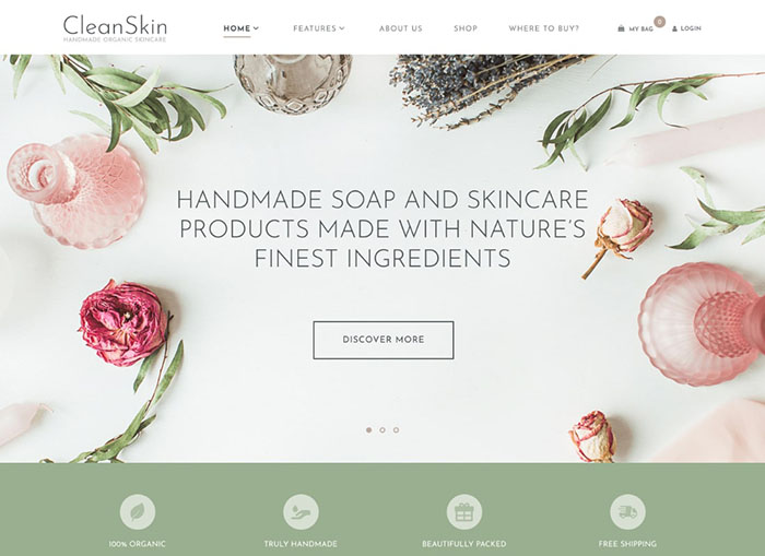 CleanSkin