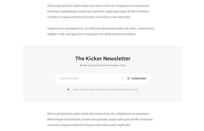 newsletter form