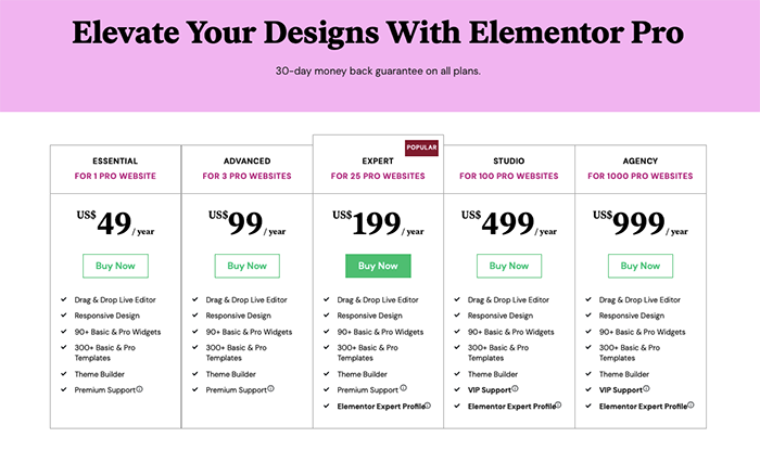 Elementor Pro