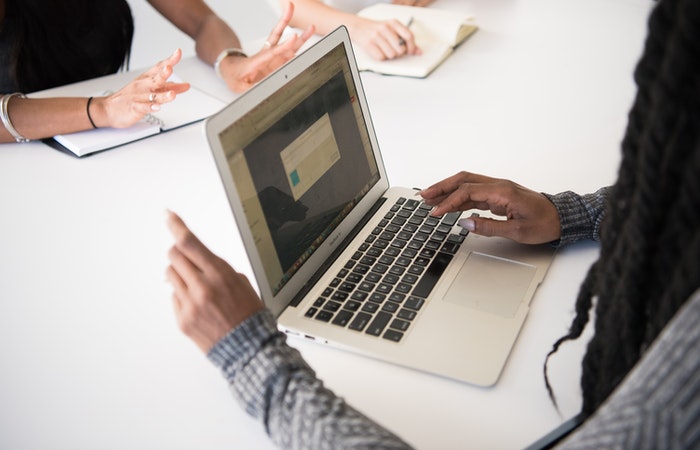 WordPress developer