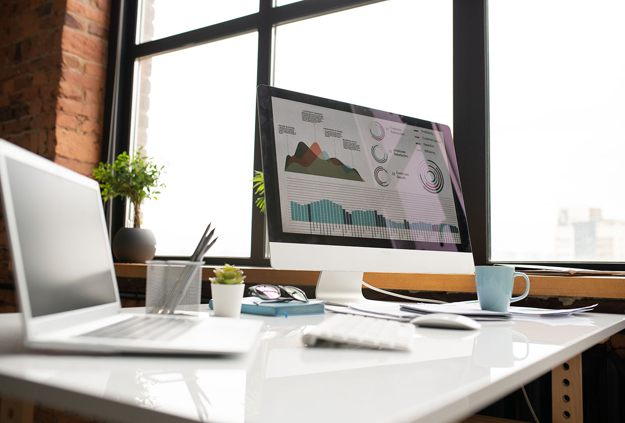 Prepaid Expenses and Accruals in Online Businesses
