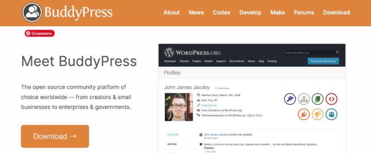 buddypress