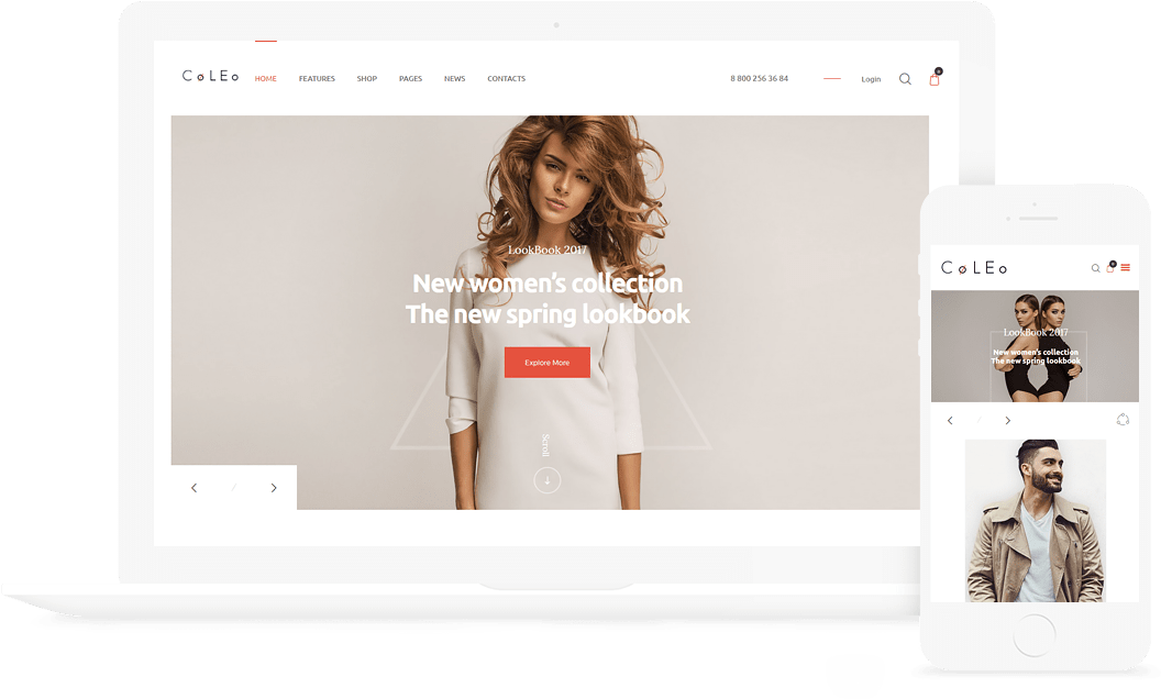 Coleo WP Theme