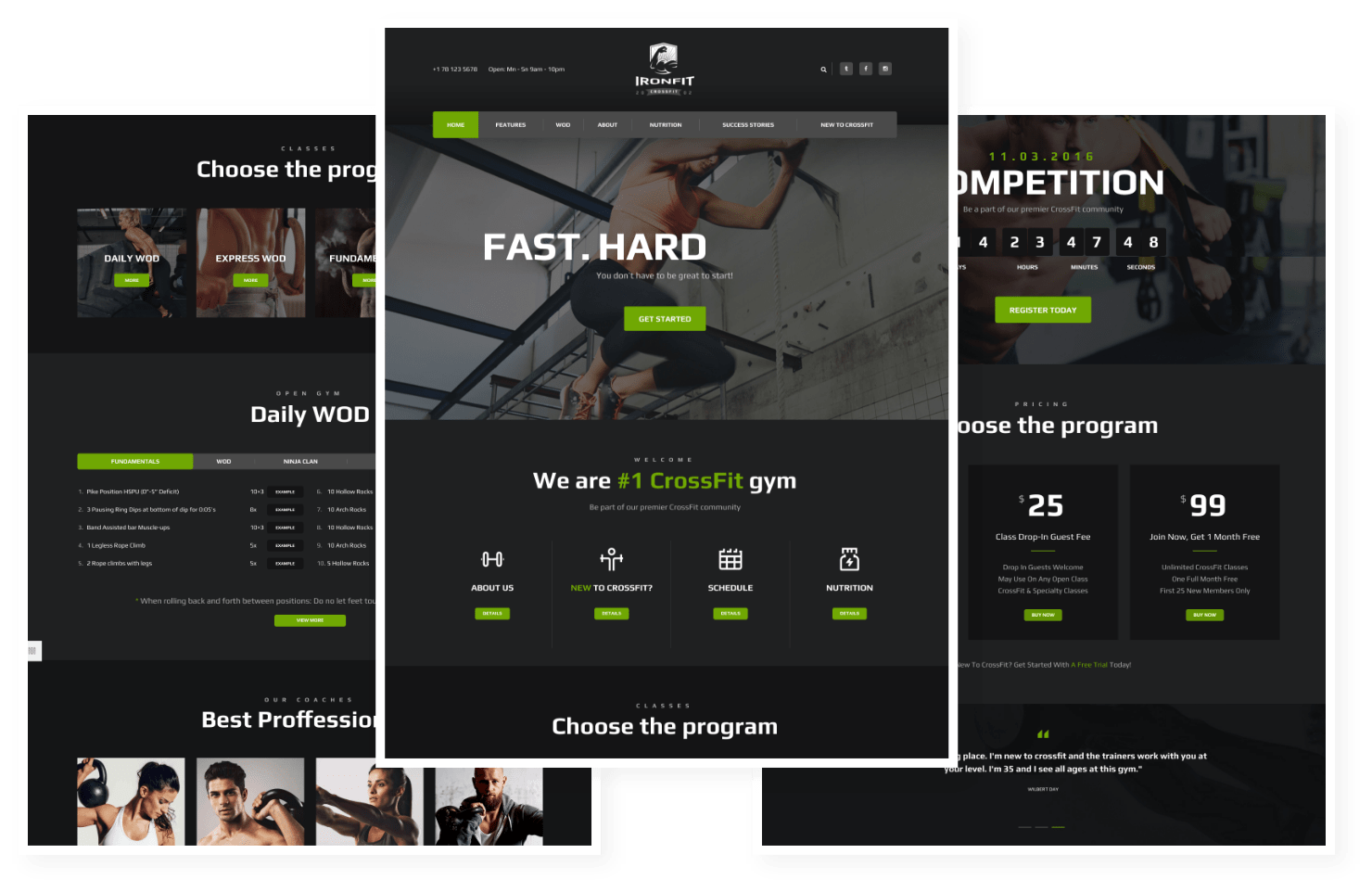 Ironfit (3) Ironfit (3)